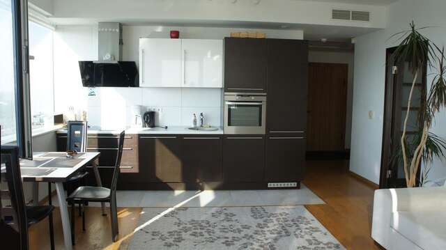 Апартаменты 25-th Floor Sea View Apartment Клайпеда-11